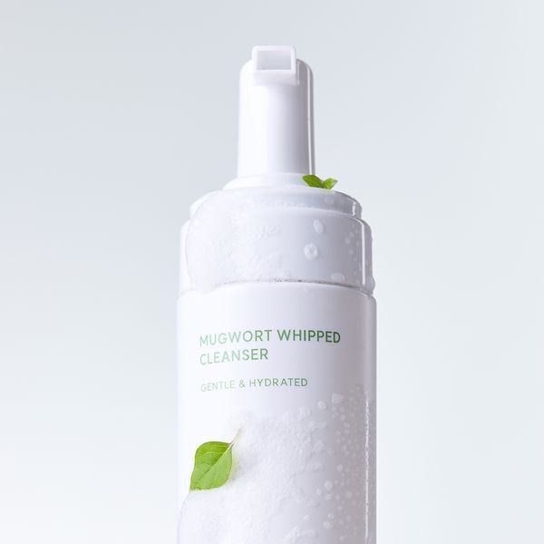 Очищувальна пінка з полином Arocell Mugwort Whipped Cleanser 150 мл 8809710460454 фото