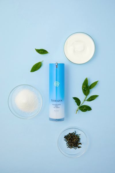 Увлажняющий гель-крем для лица TERRAZEN AQUA RECHARGE MOIST GEL CREAM 60 г 8809263868028 фото