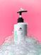 Шампунь для жирной кожи головы Besty Sebum Control Shampoo 300 мл SC300 фото 2