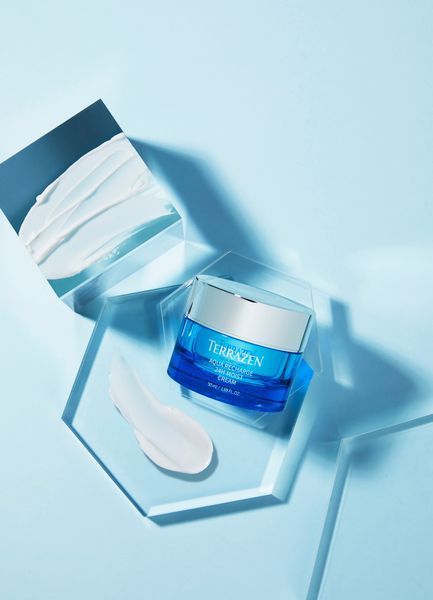 Крем зволожуючий для обличчя TERRAZEN AQUA RECHARGE 24H MOIST CREAM 50 мл 8809263868035 фото